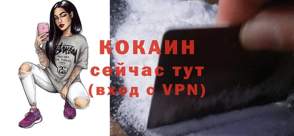 дурь Новодвинск