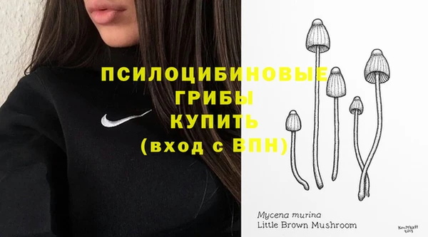 дурь Новокубанск