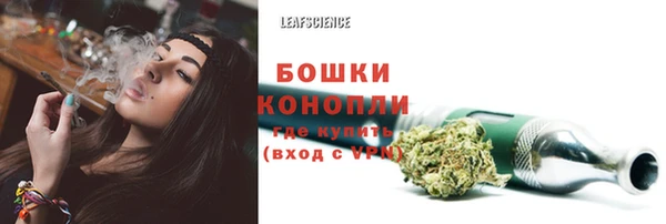 дурь Новокубанск