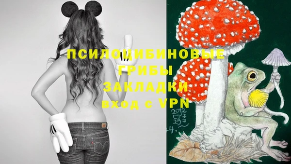 дурь Новодвинск