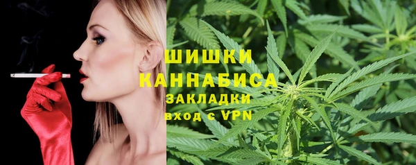 дурь Новодвинск