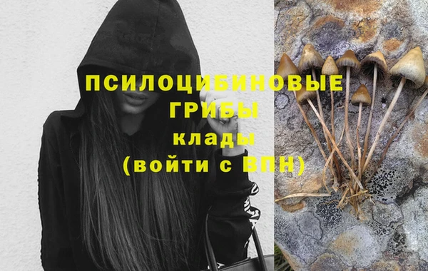 герыч Новозыбков