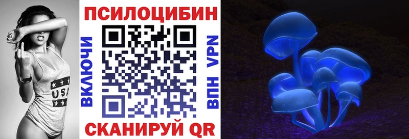 Псилоцибиновые грибы Magic Shrooms  darknet состав  Курлово 